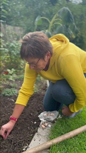 KNOBLAUCH PFLANZEN: So gelingt's garantiert!