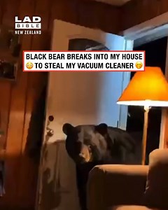 He's got a spring clean to do! 🧼🐻 | LADbible New Zealand