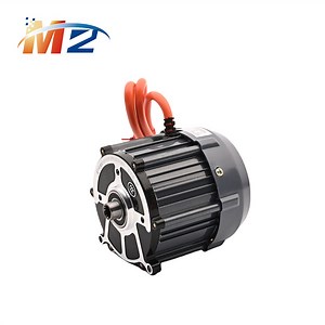 [Hot Item] China Factory Direct Sales Electric Tricycle Accessories Brushless DC Motor 48V 1500W Motor