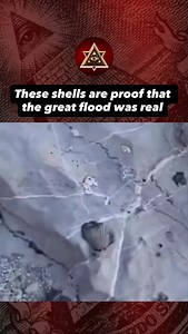 5.6K views · 471 reactions | Thank you for reading “The Truth Of...