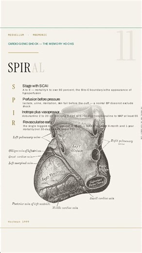 SPIRAL: Treating Cardiogenic Shock Step by Step