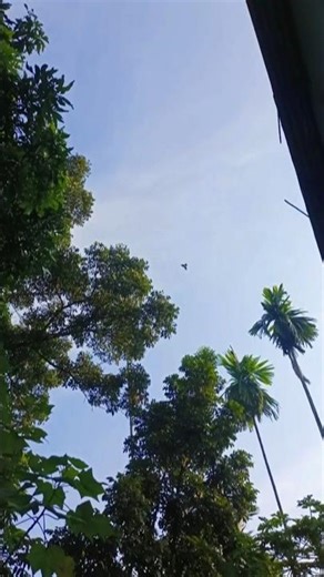 village nature life #villagelife #villagevlog #villagerlifestyle #villagecooking