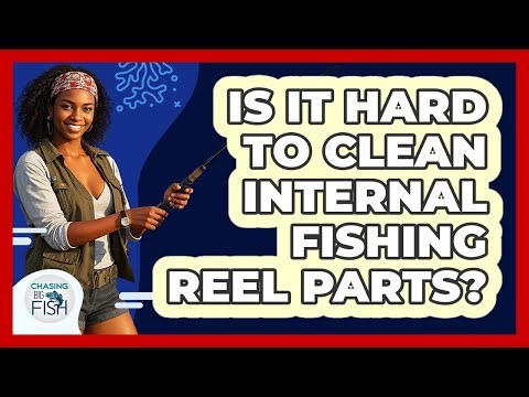 Is It Hard To Clean Internal Fishing Reel Parts?
