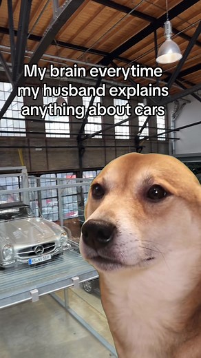 Girl Car Meme Compilation