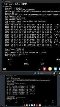Tutorial Termux: Conexiones seguras en 60 segundos 📲 #termux #shorts #linuxcommandlinetutorial