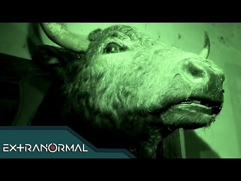 La mano del diablo. | Extranormal