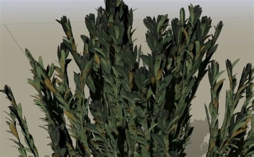 【SpeedTree】Luca《SpeedTree 树叶指南：为 UE5 创建 3D 草丛和灌木丛》(中英双字)