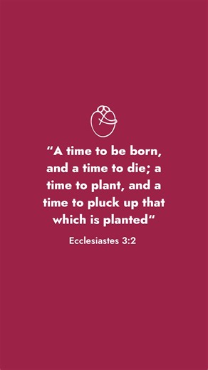Althea Fernandes, RP | Stress, Burnout & Trauma Therapist 🇨🇦 on Instagram: "At work, planting often looks like learning fast, staying agreeable, over-delivering, and proving your value. But uprooting is the harder leadership skill — unlearning urgency, breaking people-pleasing, and letting go of habits that once protected your job… but now quietly drain your capacity. Not every career season is about growth. Some seasons are about changing what you are rooted in — so your next chapter isn’t bu