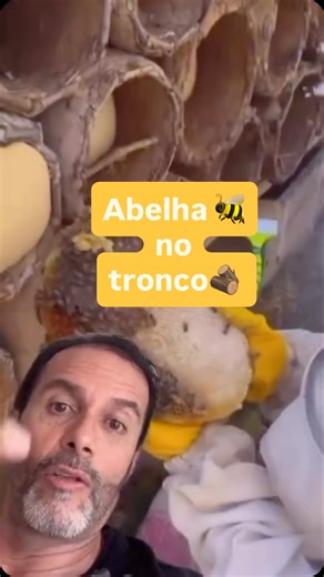 🌍 Olha só esse sistema de criação de abelhas! No Oriente Médio, ainda se utilizam troncos ocos para abrigar enxames e coletar o mel uma técnica milenar. 🍯 Mas aqui no Brasil já temos tecnologias modernas que permitem a superprodução de mel, chegando a 60, 70, 80, até 100 quilos ou mais por colmeia! 🚀 E você também pode aprender a usar essas técnicas para transformar sua propriedade em um sítio lucrativo com mel. 👉 Escreva ABELHA aqui nos comentários e receba o convite para a última turma do 