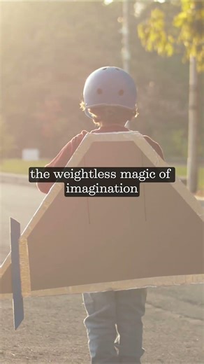 About the visualiser.