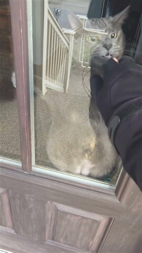 normal day as a d2d salesman