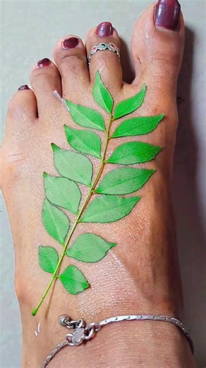 New Stylish Leaf Mehndi Design ❤️🌿💁🏻‍♀️ #leafmehndi​ #youtubeshorts​ #mehndi​ #shots​ #mehndidesign