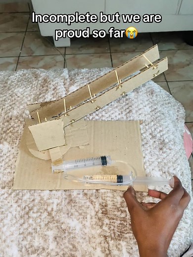 Grade 7 Crane Project Using Hydraulics and Pulley System