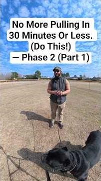 No More Pulling In 30 Minutes Or Less. (Do This!) — Phase 2 (Part 1) - Zeus