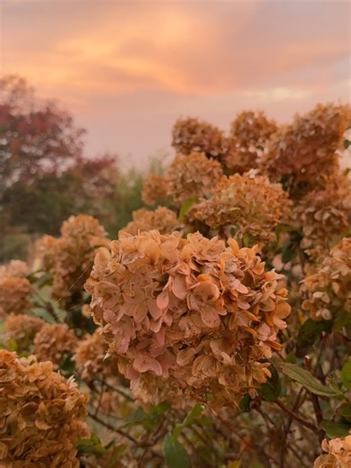 Fleurish Flower Farm & Design on Reels