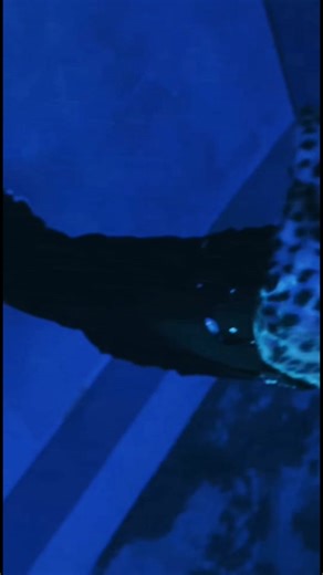 Understanding the Significance of the 7 Trumpets