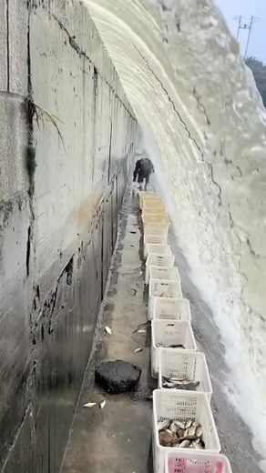 Ganito lang ka basic manghuli ng isda #catchingfish #hacks #fishing | Kim tvhub