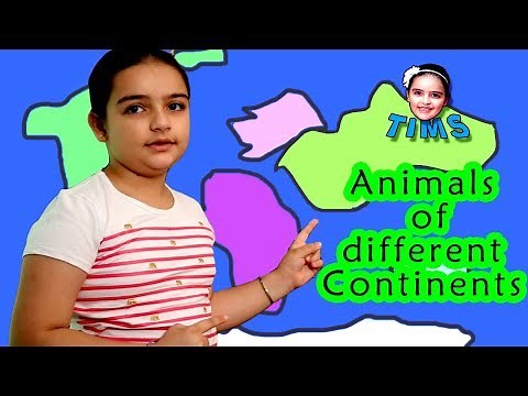 Animals Of Different Continents | Learn Animal Names for Kids | GK for Children