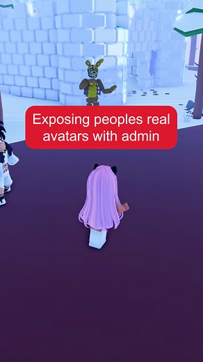 Revealing Avatars Using Admin Commands