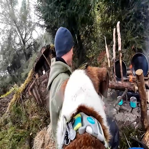 Planting a bushcraft garden in Ireland Part 17 | Survival Expeditions