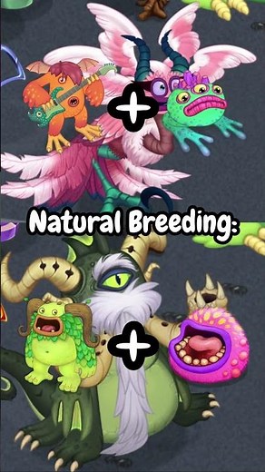 New Epic Mythicals Sound, Aminations, And Breeding Combos! - Shoutout ‪@Glitched_MSM‬ For His Islands!