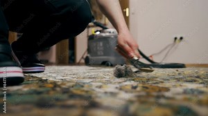 close up in the apartment master cleaner cleans the carpet using a wool scraper professional cleaning Stock Video
