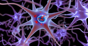 Rodger Liddle Has A Gut Feeling About the Origins of Parkinson's Disease