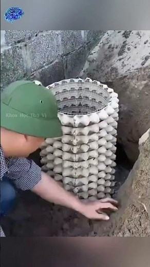 Biến khay trứng cũ thành chậu cây xi măng siêu phẩm