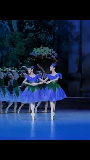 3.1K views · 2.1K reactions | Bluebells variation from ballet Romance of the Rosebud and the Butterfly - Kazakh National Academy of Choreography , choreography Vasily Medvedev @medvedevballet #ballet #dance | Petipa Ballet Association | Facebook