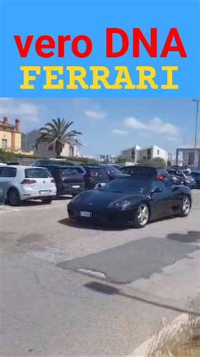 Ferrari 360 Spider, il V8 aspirato che ha fatto la Storia