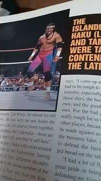 Raw Magazine May 2001 WWF Close Up Part 2 Haku Feature Story Steve Austin Posters & More