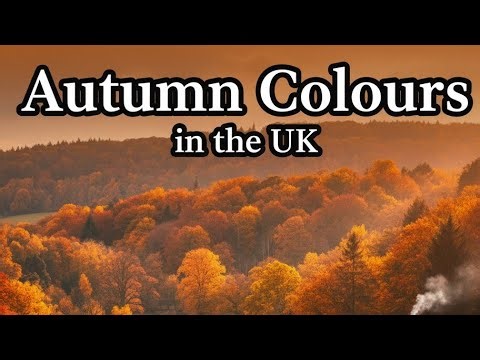 Autumn colours in the UK | Top 10 Autumn colors in uk