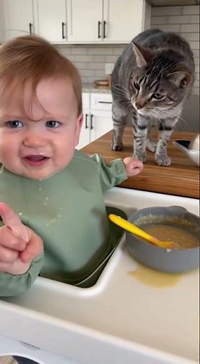 Kitchen Counter Chaos Scene Baby sitting in a highchair near the kitchen counter