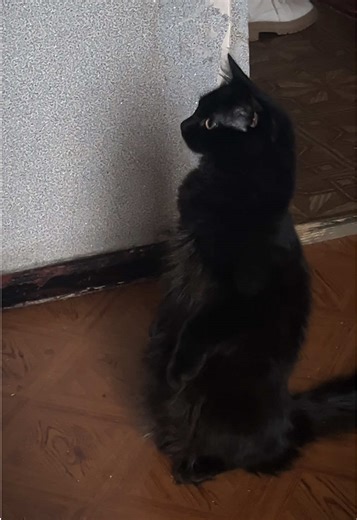 …Тгк: danalait🫀