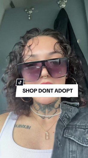 Ethical Dog Breeding: Choosing the Right Canine Companion