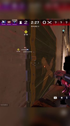 Explore Unique Scripts for Your Storytelling