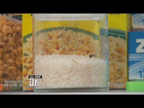 Do You Know What’s Crawling in Your Pantry?