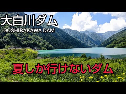【大白川ダム・羽布ダム・寒狭川頭首工・大野頭首工 ダムカード】Part82 夏しか行けない⁉️😳 レアダムカードの大白川ダム から 羽布ダム 四季カードコンプリート👍 道の駅飛騨白山 からスタート🚙