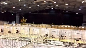 A look inside the National Poultry Show in Telford, Shropshire
