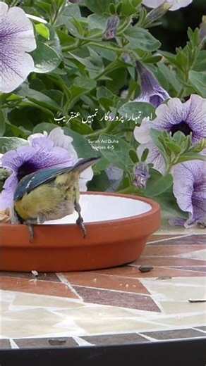 Allah Tumhein Itna De Ga Ke Tum Khush Ho Jao Ge 😢 | Quran Short #quranayat #quranpak #islamicvideo