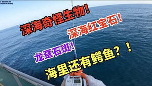 上课！今日课程：深海钓鱼！！跟随船长，来场真正海钓！-西曼船长Seaman-西曼船长Seaman-哔哩哔哩视频