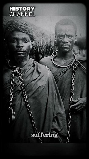 The Untold Truth of Antebellum Slavery | Dark History Revealed