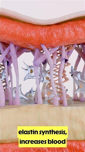 The peptide every biohacker and athlete is suddenly talking about: GHK-Cu.