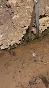 247K views · 269 reactions | Aww So Amaing videos fishing | The Kelly Ford | Facebook