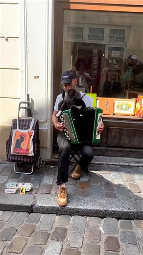 Aawweeee. 😍 #adorablecat #Meowacat | Meowacat