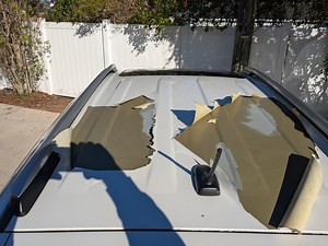 Blizzard Pearl Paint Recall