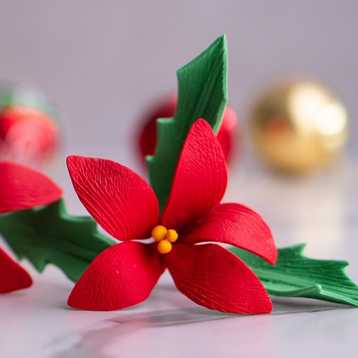Here I share with you how I make large Poinsettia flowers to decorate my Christmas themed cakes :) The fondant that I use is by Bakels, but most fondant brands will work for this. To help you fondant dry faster, I recommend using Tylose / CMC powder, and knead some this into your fondant before cutting. This will stiffen your fondant and help it to hold it’s shape and dry faster. I let mine dry overnight, but the longer you let the fondant dry, the better. You can also use gum paste, which is li