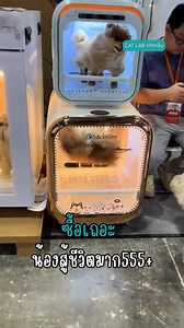 แห้งแน่นอน น้องๆรับประกัน #CatLab #แมว #ทาสแมว #แมวตลก | Cat Lab