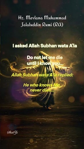 Yar ko hum ne - Abida #rumiquotes #sufikalam