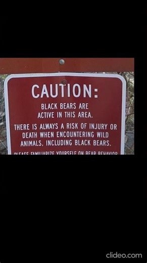 Restored section of The Old Copper Road hike through the Ocoee River Gorge. Black Bear. TN USA 🎶